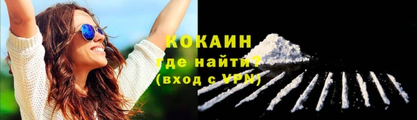 гидра Михайловка