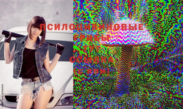 экстази Алексин