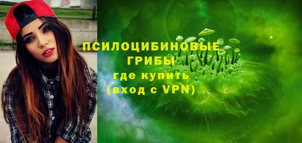 ешки Алзамай