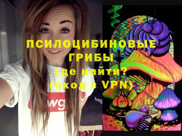 экстази Алексин