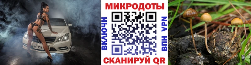 Псилоцибиновые грибы Cubensis  Южно-Сахалинск 